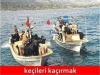 keçileri kaçırmak / #1292744