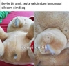 oyuncak peluş ayıya tecavüz etmek