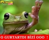 atatürk ün taklidini görüp ağlamak / #1222450