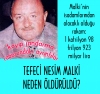 iplikçi nedim / #1350330