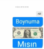 boynuma dolar mısın / #1306676