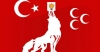 devlet bahçeli dışında evet diyen ülkücü / #1339807