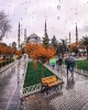 sultanahmet / #2319627