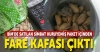 bim de satılan kuruyemişten fare kafası çıkması / #1424502