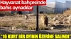 kayseri hayvanat bahçesinde bahis skandalı / #2192766