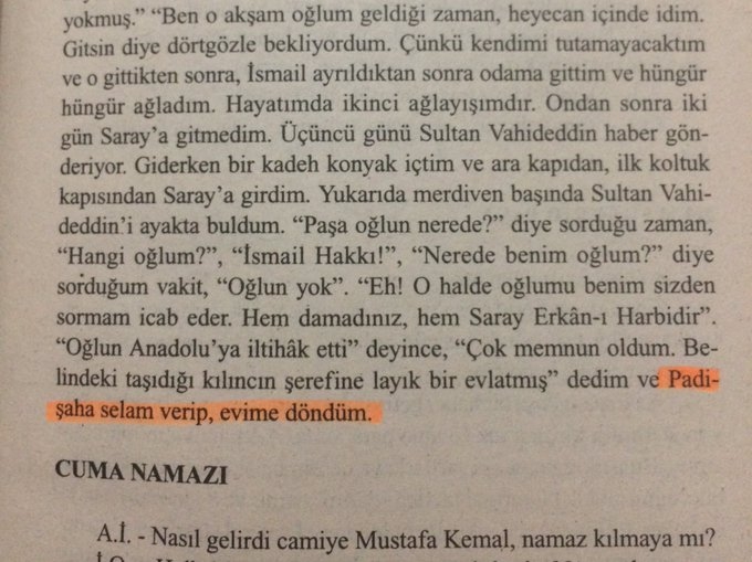 saraydan kaçıp milli mücadeleye katılan damat