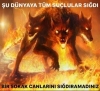 sokak köpekleri / #2256894