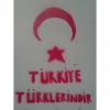türkiyede türkler azınlıktır / #1353346