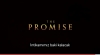 the promise