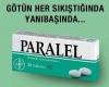 akp li bolu bld başkanının feto armağanı tablosu / #1508921
