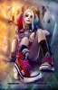 harley quinn / #1174253