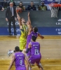 jan vesely