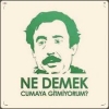 sen bana nasıl şakir dersin lan kelek / #1073399