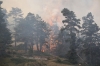 10 eylül 2017 domaniç orman yangını