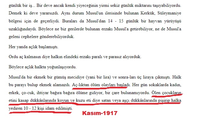 arapların ölen türk askerlerinin etini satması