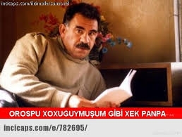 kürtler ne istiyor sorunsalı
