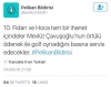 pelikan bildirisi