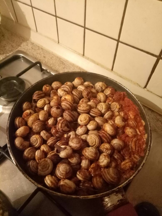 sümüklü böcek yemek uludağ sözlük