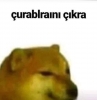 sözlük yazarlarının bugünkü çorapları / #2369849