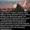 uygur türkleri