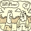 ali ağaoğlu ndan bile çirkin olmak / #1384881