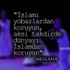 hangisi müslümanların sinirini bozar / #1023256