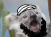 benim adım koala ben ben terörist değilim
