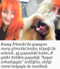 köpeğiyle evlenen kadın / #1551437