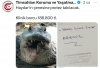 sokaklarda köpek istemiyoruz