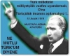 atatürk ün ülkücü olması