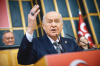 devlet bahçeli / #2426621