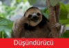 kuran değiştirilmemiştir çünkü kuran da yazıyor / #1406780