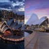 sydney opera house önünde midye satmak