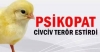 yazarların ruh halini anlatan görüntü / #2077502