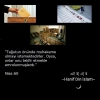 allahın hükmüyle hükmetmeyenler kafirlerdir / #1697665