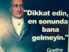 goethe nin en ünlü sözü / #1532655