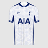 tottenham hotspur