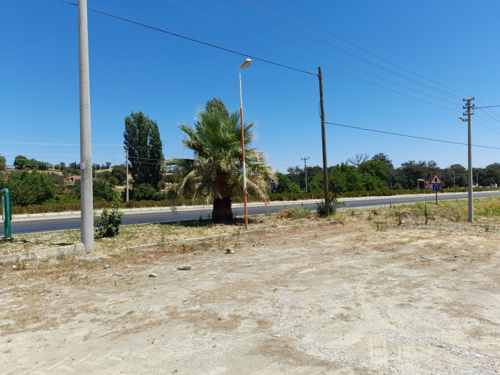 yol fotoğrafları