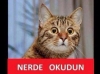 götçü devrimciler adalet için yürüyor / #1472726