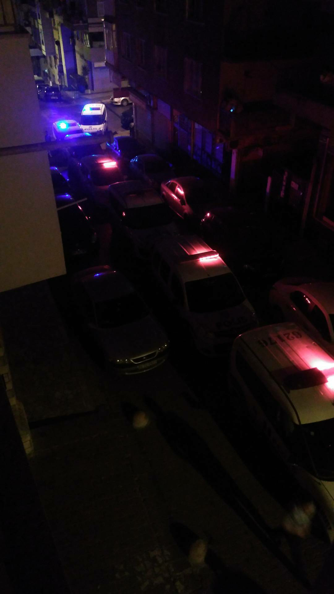 polis devleti