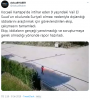 9 yaşındaki suriyeli çocuğun intiharı / #1913425