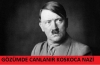hitler dirilse alman meclisine giremez / #1076921