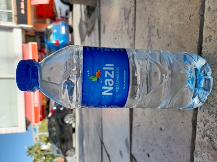 nazlı