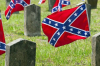 redneck / #2426086