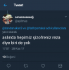 ya ben şizofrensem ve sizler yoksanız