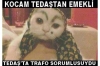 pilav üstü kuru fasulye yanına soğan kırdıran kız / #1754501