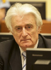 radovan karadziç