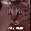 tamam çıkalım ama abim duyarsa siker diyen kız / #1487331