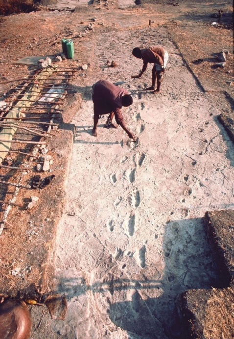 üç buçuk milyon yıllık ayak izi