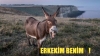 beni terk edecek bir kadın tanımıyorum / #1941518